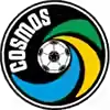 纽约宇宙队